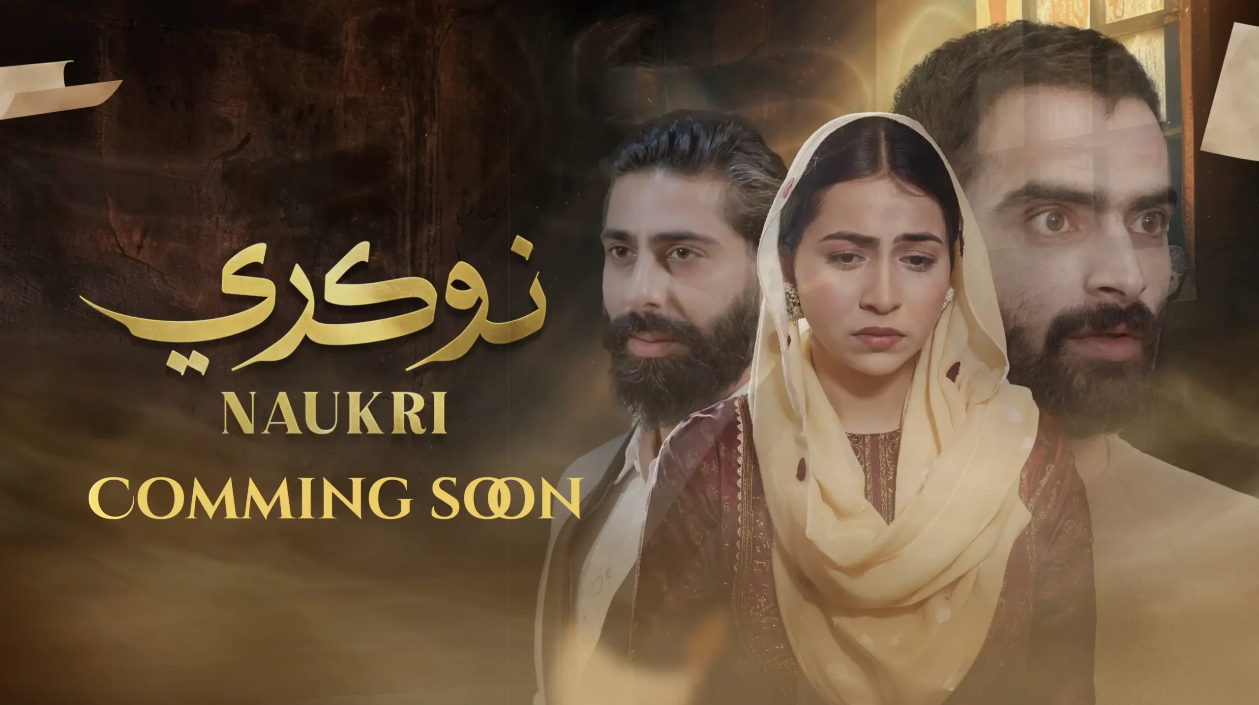 Promo Naukri